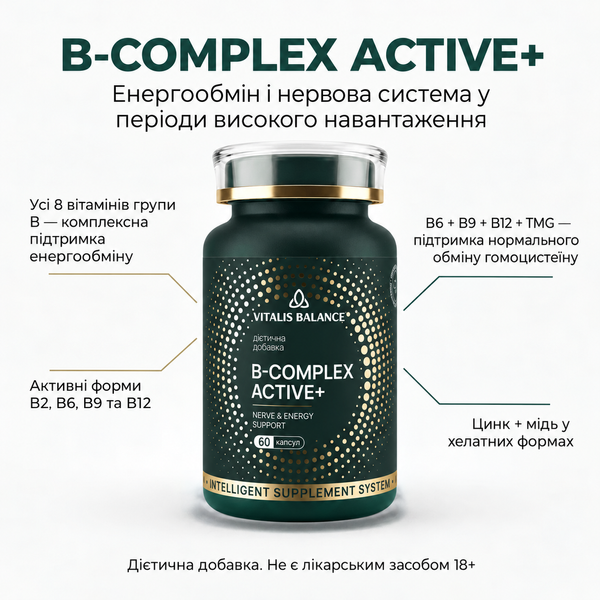 Комплект &laquo;Осіння антивтома&raquo; VB-SET-005-D3-2000 фото