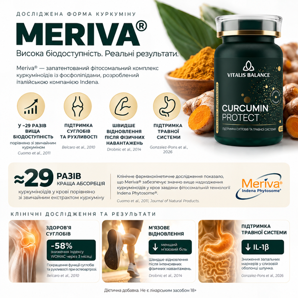 CURCUMIN PROTECT vtblns-cp-60 фото