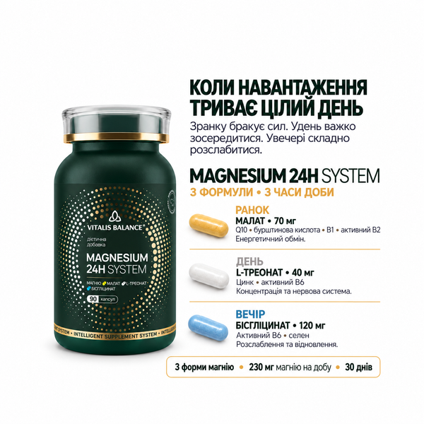 MAGNESIUM 24H SYSTEM vtblns-mg24H-90 фото